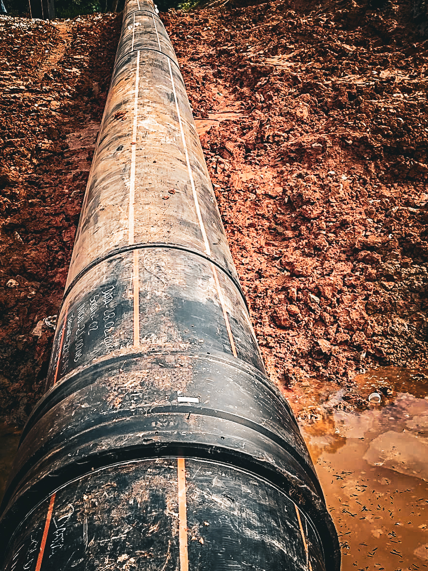 Imagem do WhatsApp de 2024-03-01 à(s) 10.11.43_e311a149.jpg